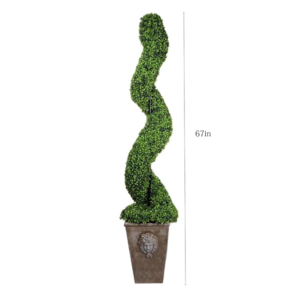 Providence Boxwood Spiral Topiary with Romanesque Planter, 67"