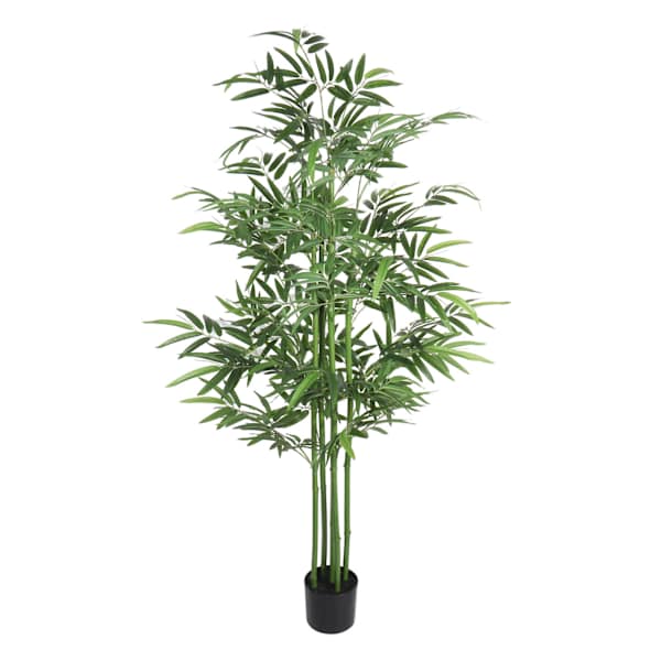 Potted Bamboo Tree, 6'