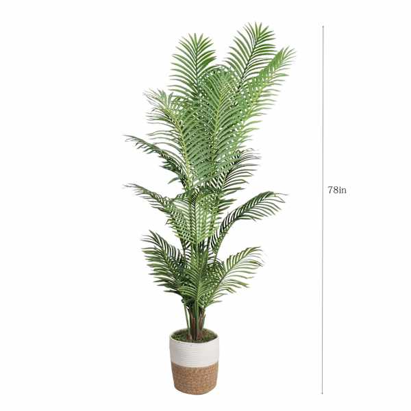 Areca Palm in Deco Basket, 6.5'