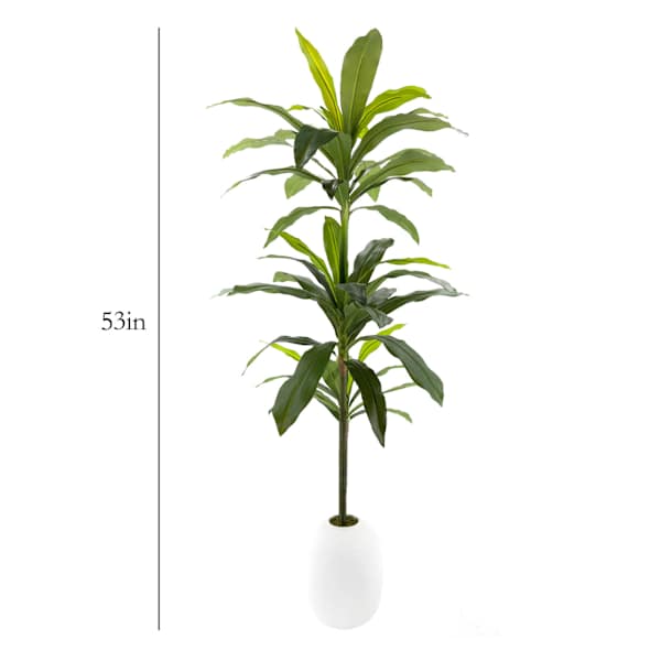 Ty Pennington Floor Greenery with White Ceramic Pot, 52"