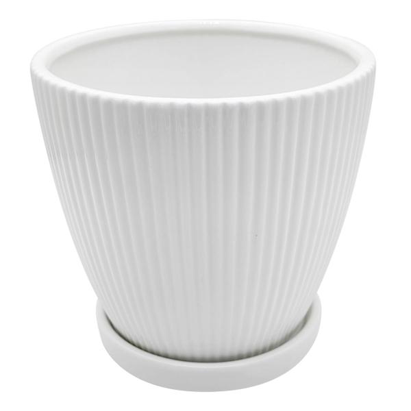 Sunny Club Indoor White Ribbed Planter, 6"