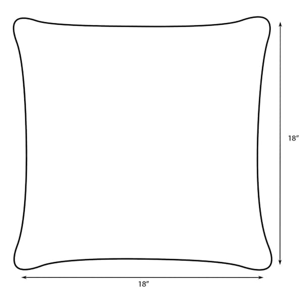 Oh Joy! Squeeze The Day Outdoor Throw Pillow, 18"