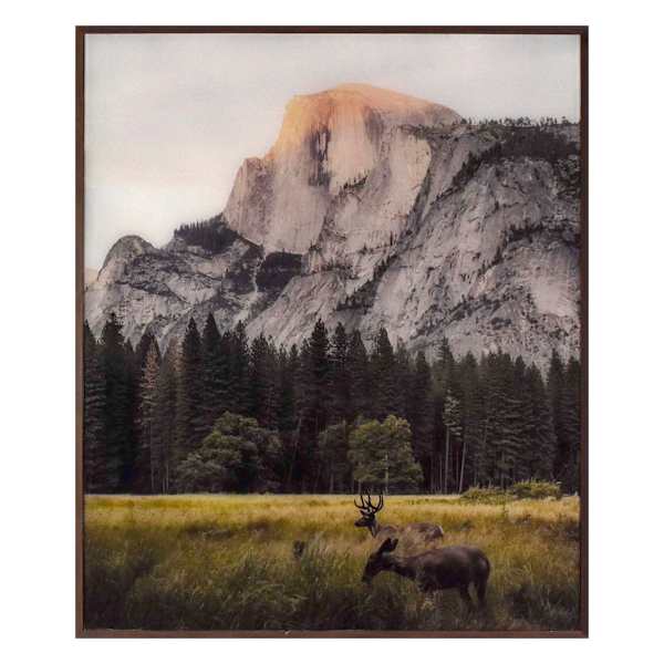 Lake & Lodge Glass Framed Grazing Pair Print Wall Art, 20x24