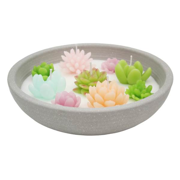 Succulent Garden Citronella Candle, 11oz