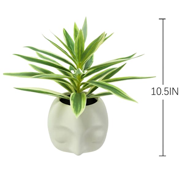 Lilies in Face Pot, 10.5"