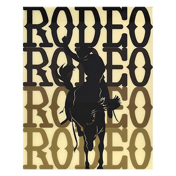 Ombre Rodeo Wall Art, 16x20