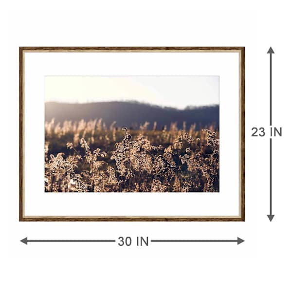 Framed Field Wall Art, 22x30