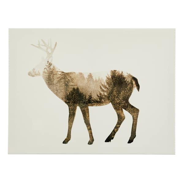 Ty Pennington The Wilderness IV Canvas Wall Art, 16x12