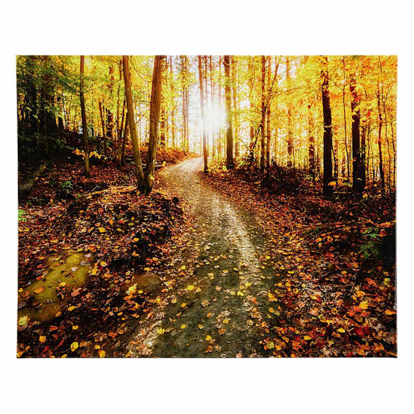 Autumn Path Canvas Wall Art, 16x20