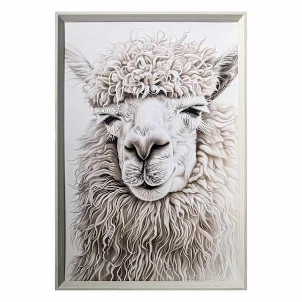 Glass Framed Highland Llama Paper Print Wall Art, 25x37