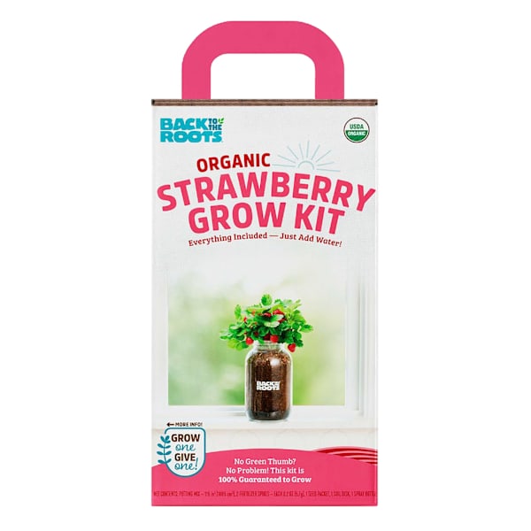Back to Roots Windowsill Organic Strawberry Grow Kit