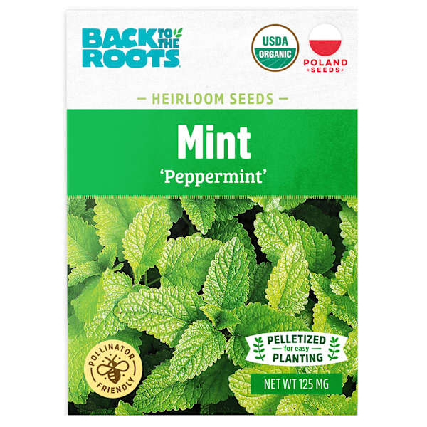 Back to Roots Heirlooms Seeds, Mint Peppermint