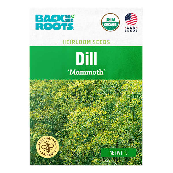 Back to Roots Heirlooms Seeds, Dill Mammoth