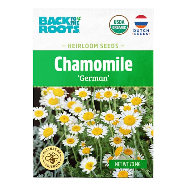Back to Roots Heirloom Seeds, Chamomile German