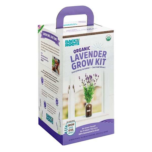 Back to Roots Windowsill Organic Lavender Grow Kit