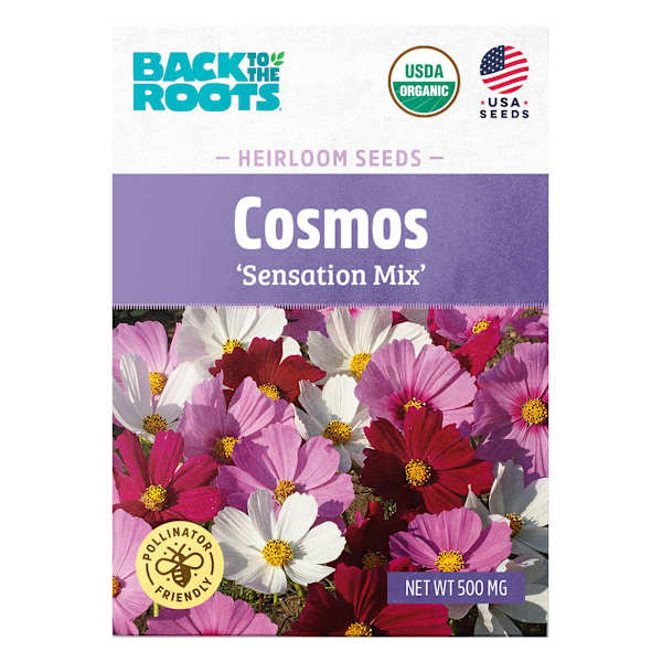 Back to Roots Heirloom Seeds, Cosmos Sensation Mix