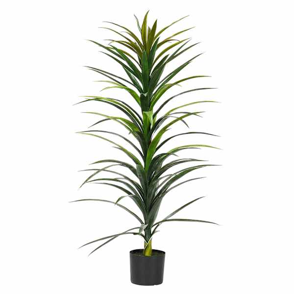 Yucca Tree with Black Planter, 48"