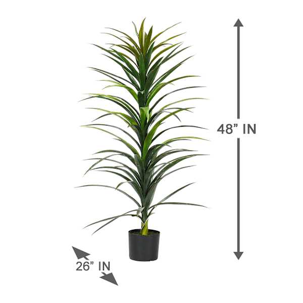 Yucca Tree with Black Planter, 48"