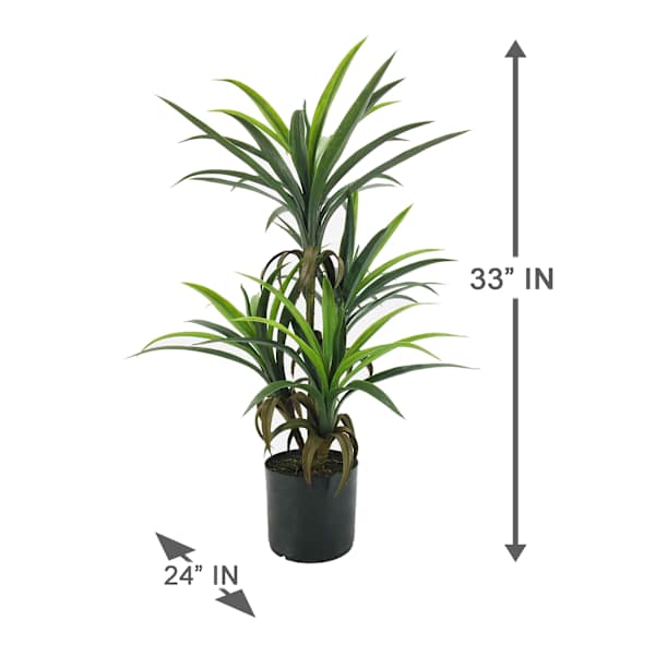 Yucca Tree with Black Planter, 33"