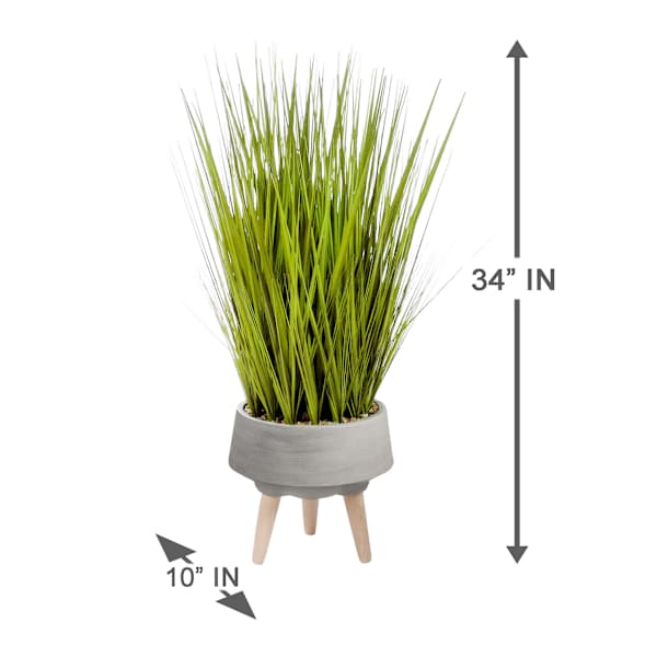 Found & Fable Green Grass Bundle with Cement Pot, 34"