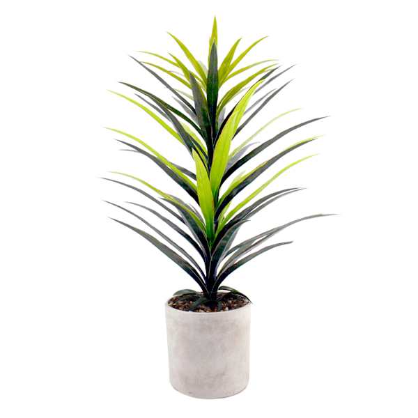 Yucca Tree with Cement Planter, 42"