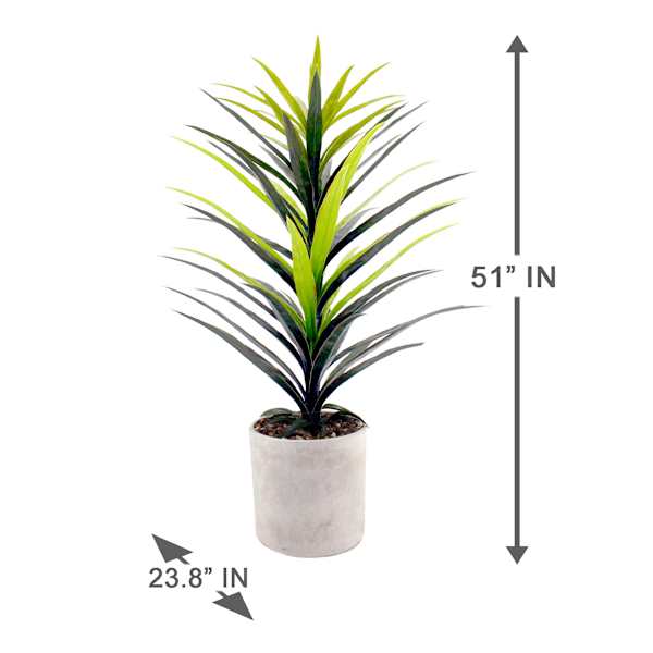 Yucca Tree with Cement Planter, 42"