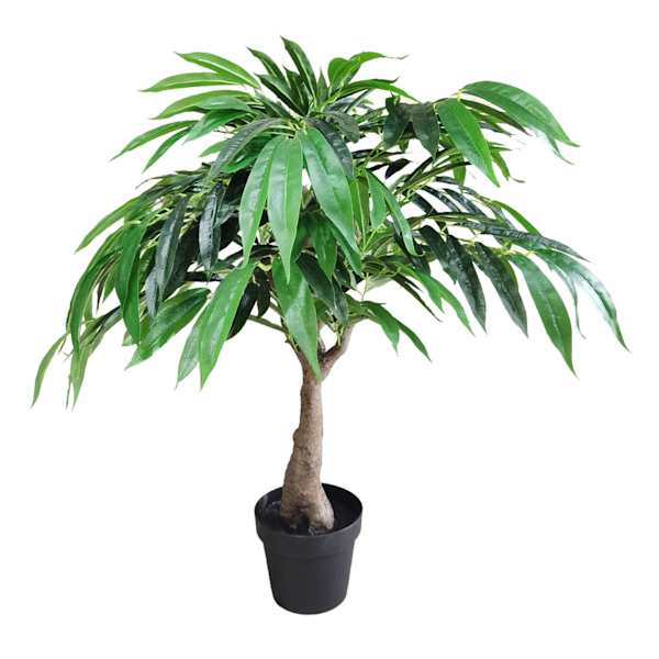 Potted Willow Tree, 3'