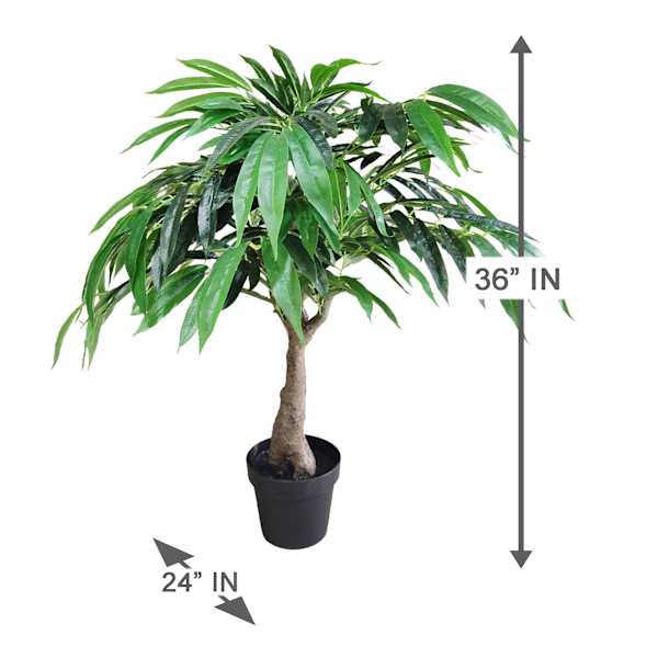 Potted Willow Tree, 3'