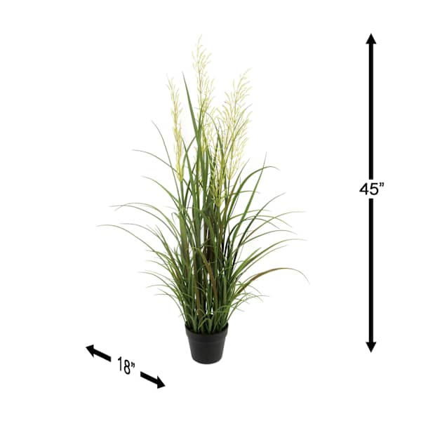Potted Pampas Grass Bush, 45"