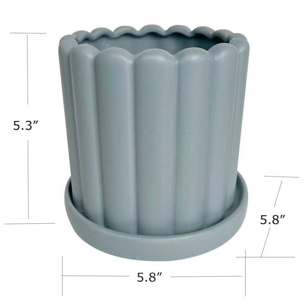 Indoor Blue Scallop Planter, 5"