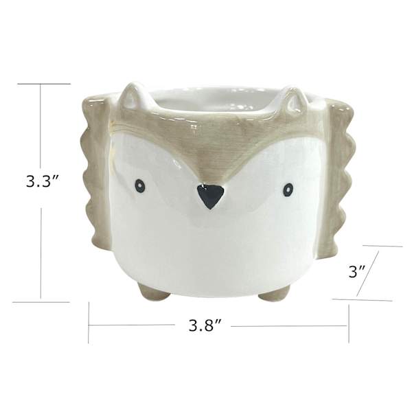 Indoor Mini Hedgehog Planter, 4"