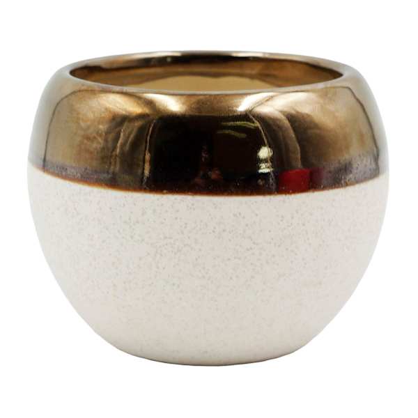 Indoor Cream Ceramic Pot with Bronze Trim, Medium