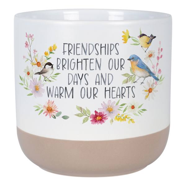 Indoor Friendships Sentiment Planter, 5.5"