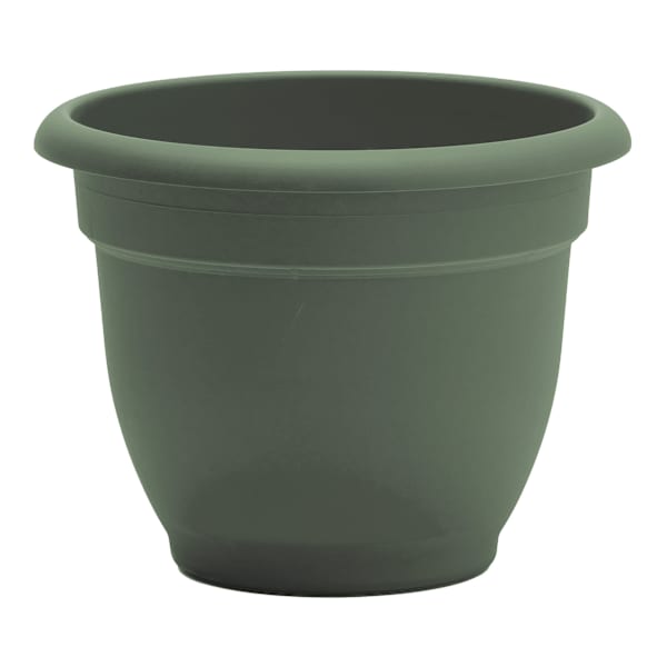 Ariana Basil Outdoor Planter, 6"