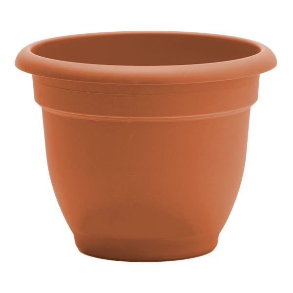 Ariana Terracotta Outdoor Planter, 6"