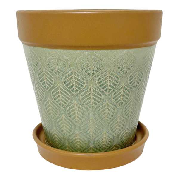 Indoor Sierra Green Planter with Saucer, 6"