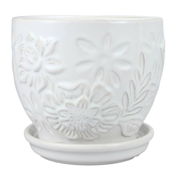 Indoor Rose Flora Planter with Saucer, 6"