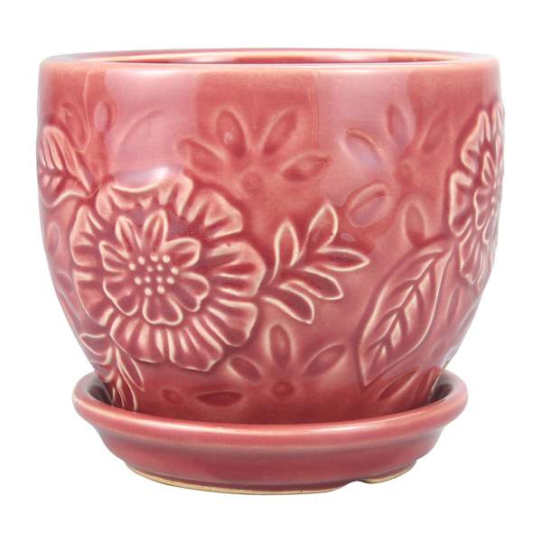 Indoor Rose Flora Planter with Saucer, 4"