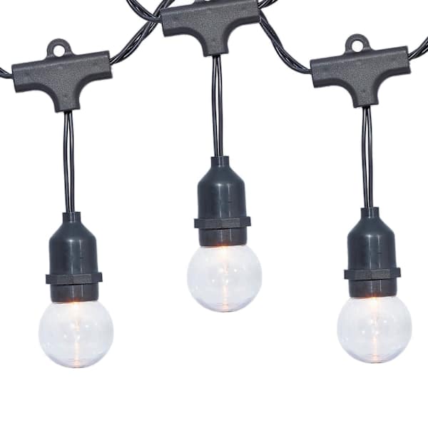 30-Count Clear G40 Globe String Lights with Black Commercial Wire