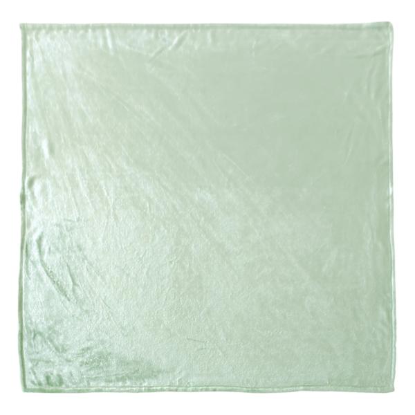 Honeybloom Solid Green Micro Plush Throw Blanket, 50x60