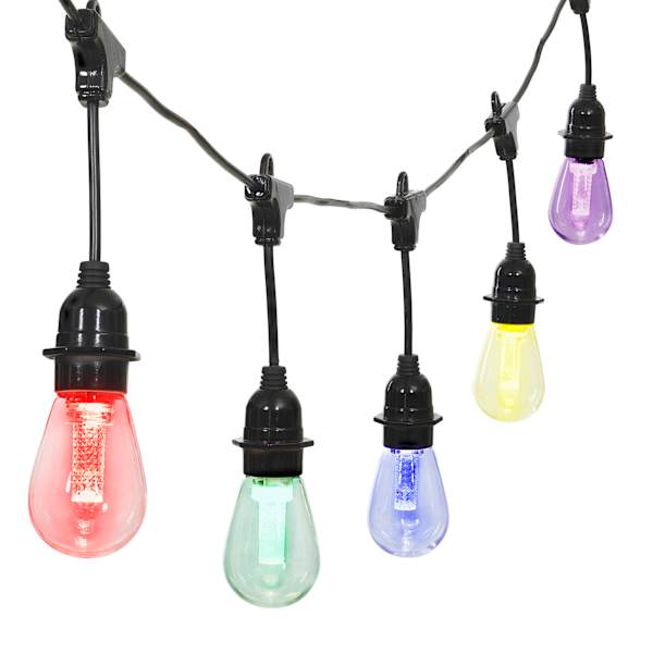 12-Count LED Color Change Edison String Lights Black Commercial Wire with Remote Control & Timer