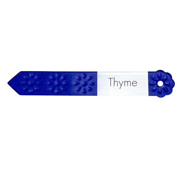 Sunny Club Thyme Plant Marker Stake