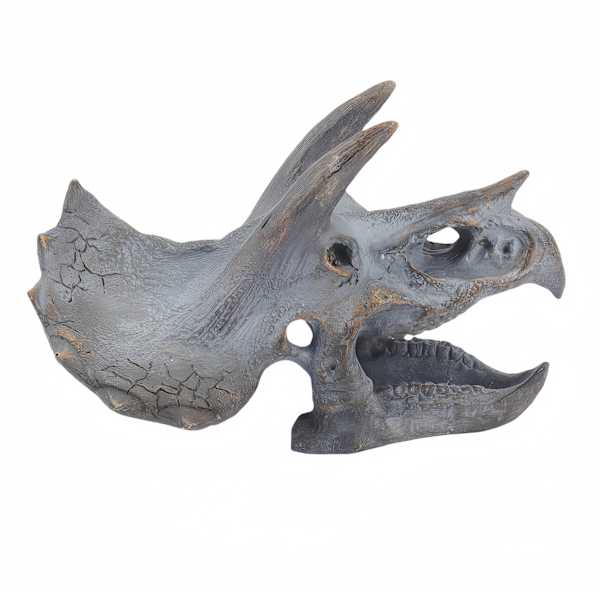 Triceratops Resin Skull Décor, 9x6