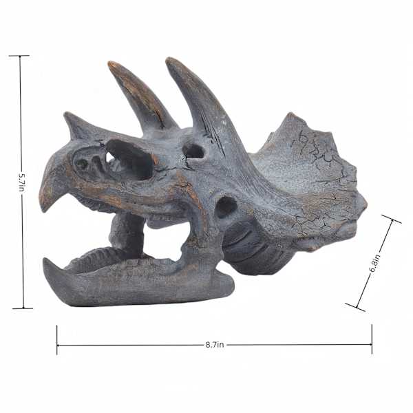 Triceratops Resin Skull Décor, 9x6