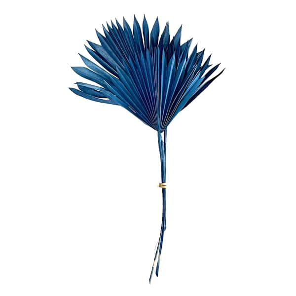 Blue Sun Spear