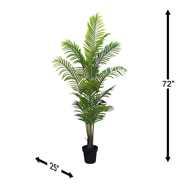 Potted Areca Palm Plant, 6'