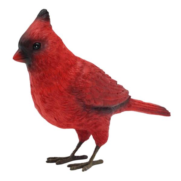 red-cardinal-outdoor-garden-