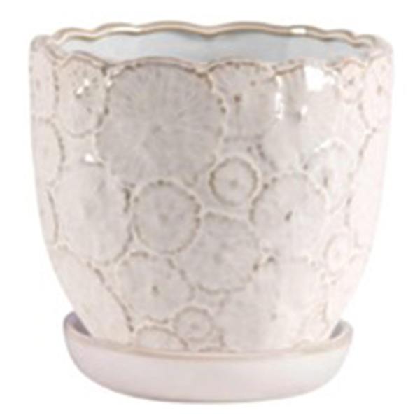 Indoor Cream Blossom Planter, Small