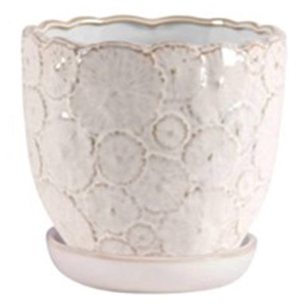 Indoor Cream Blossom Planter, Medium