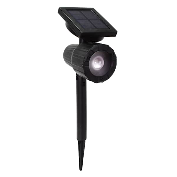 20-Lumen Solar Black Spotlight